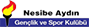 Logo of basketball club Nesibe Aydin(W)